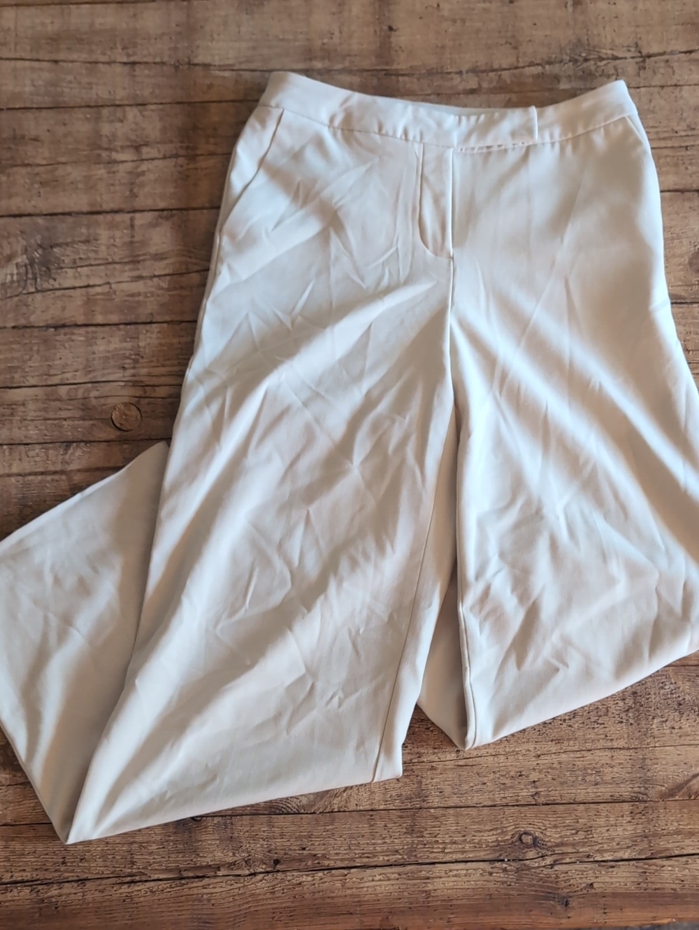 Size 6 Coldwater Creek Women’s Wide-Leg Dress Pants in Cream